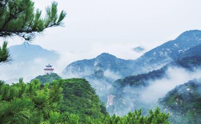 穿大衣,该搭裙子还是裤子?这些素人穿搭告诉你答案,美得犯规